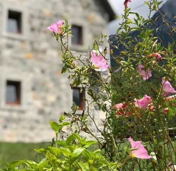 ペンション Molla Guest House