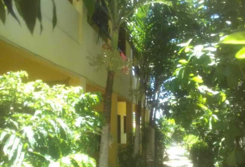 膳宿费 Pousada Dona Helena