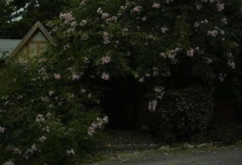 هاستل Posada A Viagem