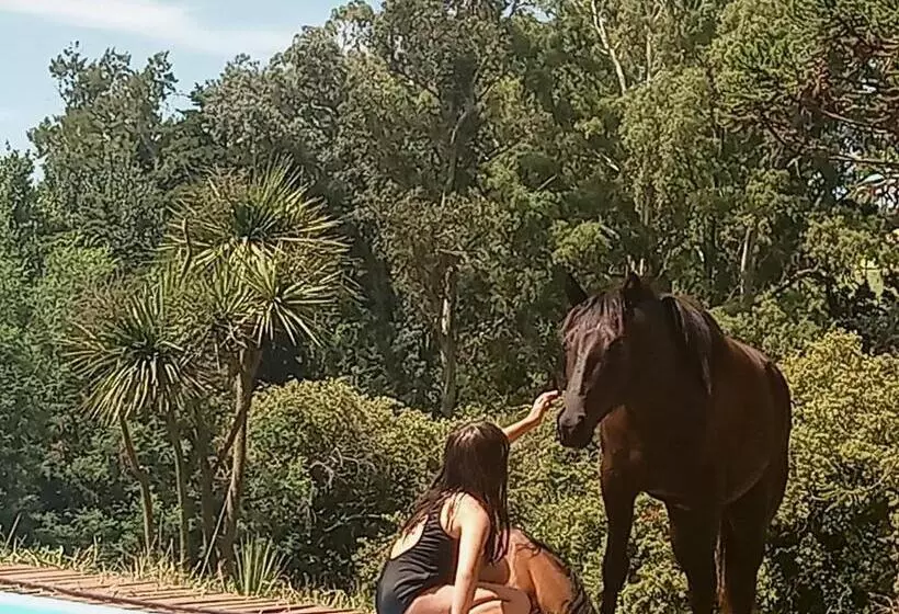 ユースホステル Posada A Viagem