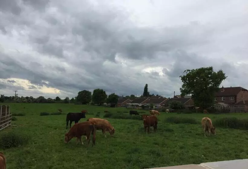 ベッドアンドブレックファースト Fir Tree Barn