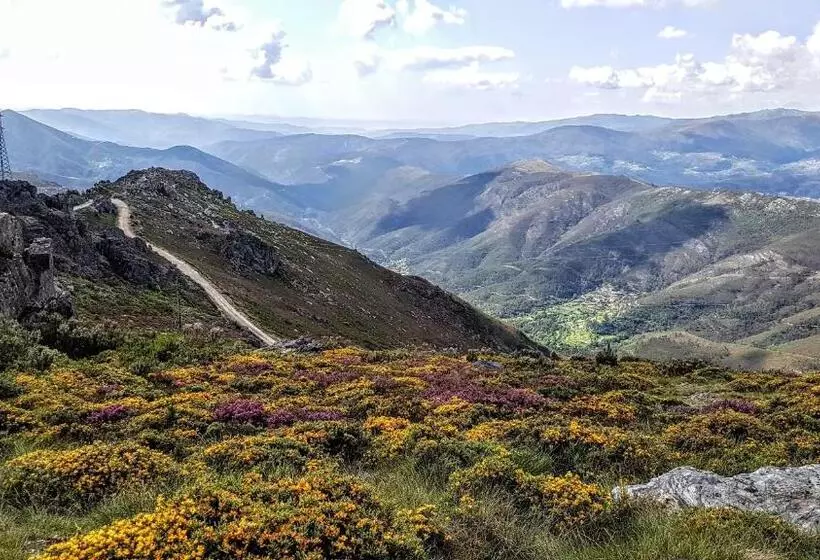 ペンション Paço Da Torre De Figueiredo Das Donas