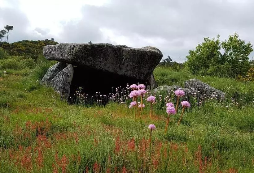 ペンション Paço Da Torre De Figueiredo Das Donas
