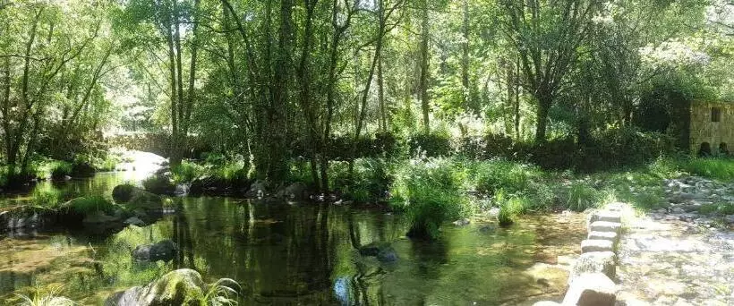 ペンション Paço Da Torre De Figueiredo Das Donas