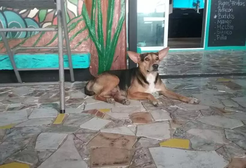 Retkeilymaja Hostal Portobelo