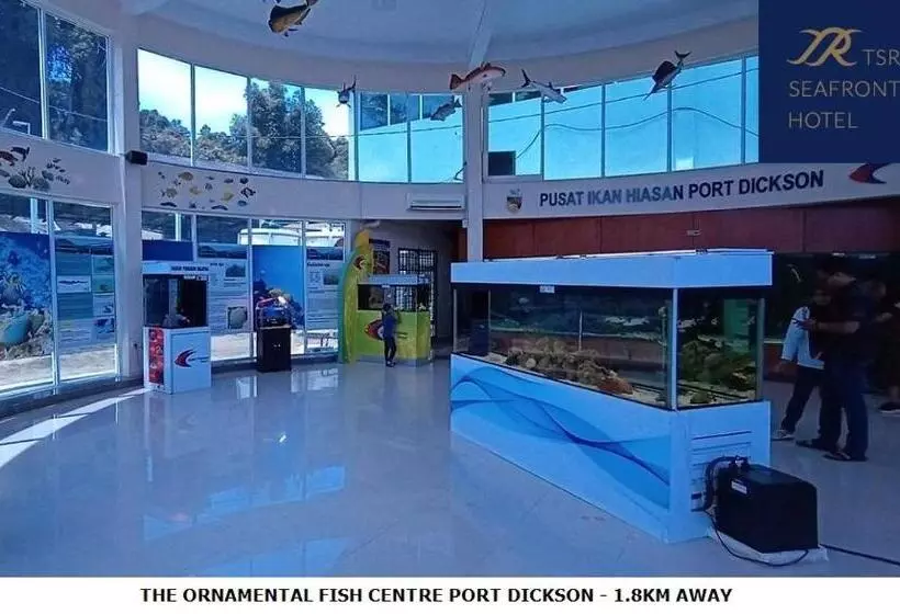هتل Tsr Seafront