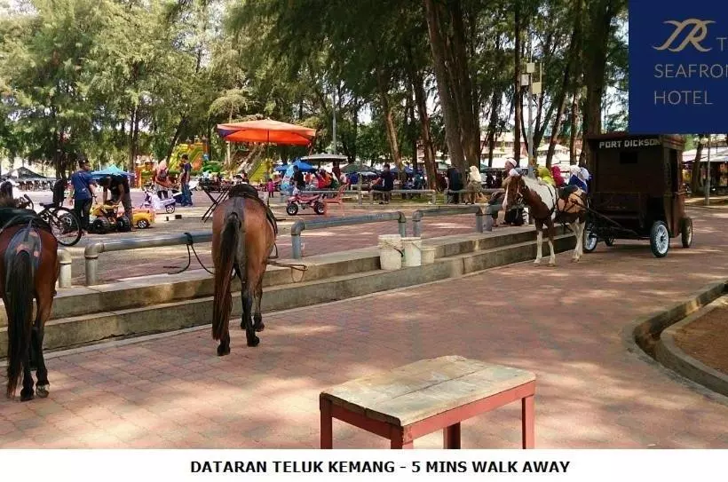 هتل Tsr Seafront