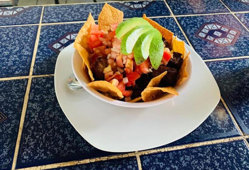 بنسيون Cabinas Jacomar