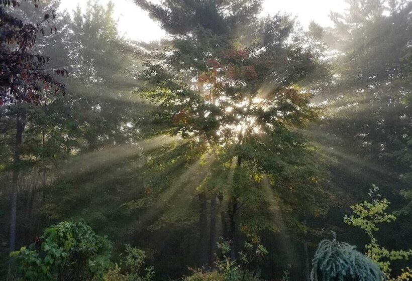 ユースホステル Friends Lake Inn