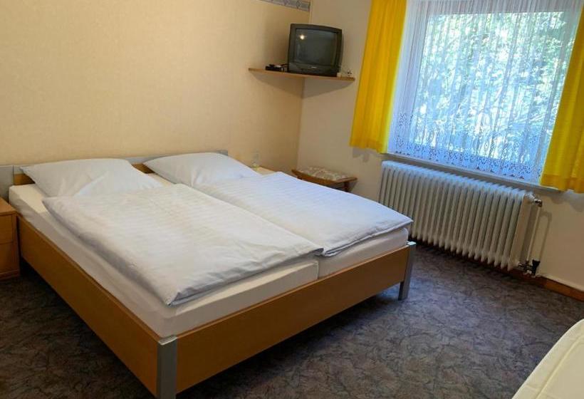 Общежитие Gasthaus Glück Auf Garni