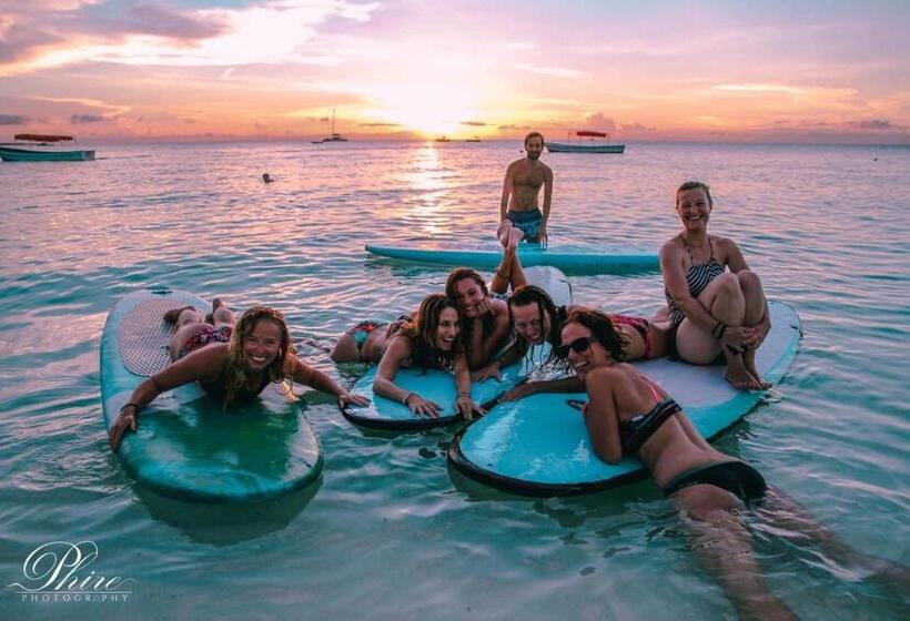 酒店 Badolina Bungalows