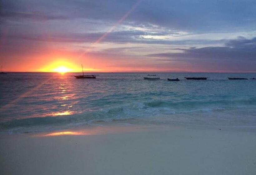 酒店 Badolina Bungalows