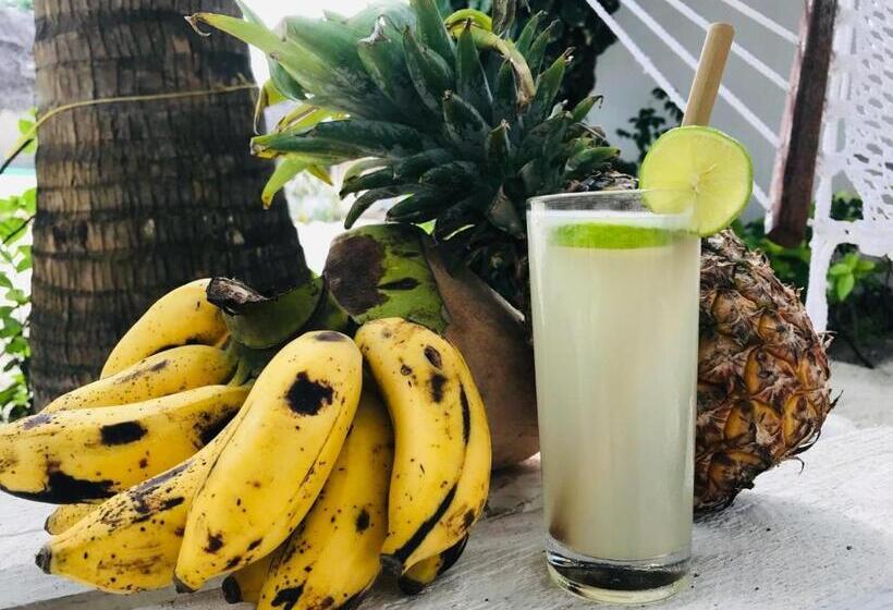 酒店 Badolina Bungalows