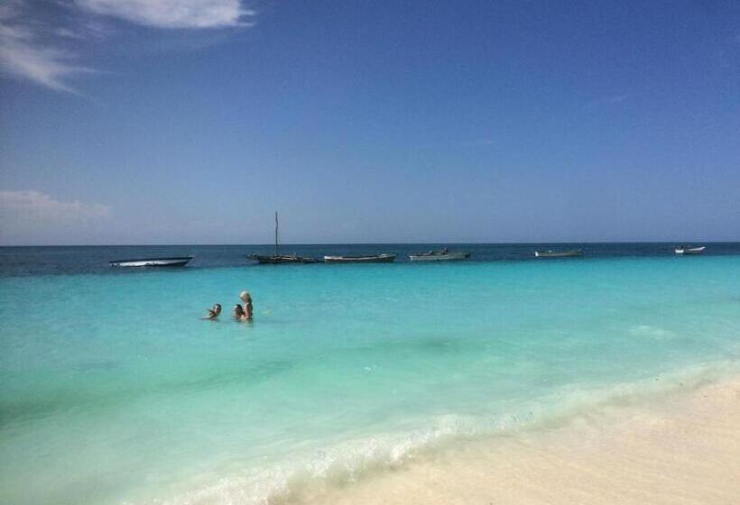 酒店 Badolina Bungalows