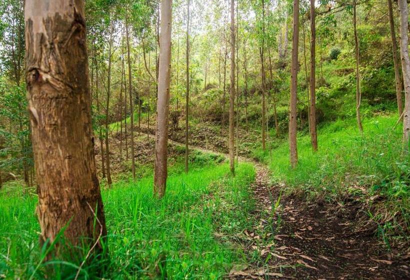 酒店 Primavera Ecoalbergue