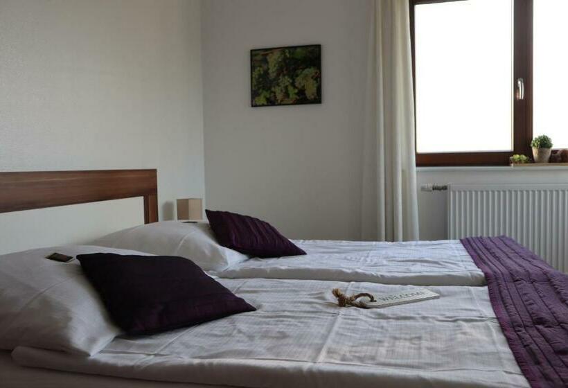 酒店 Rheinblick Hattenheim Boutique Art Gästehaus