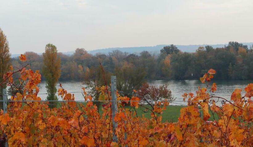 酒店 Rheinblick Hattenheim Boutique Art Gästehaus