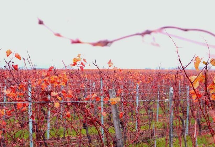 酒店 Rheinblick Hattenheim Boutique Art Gästehaus