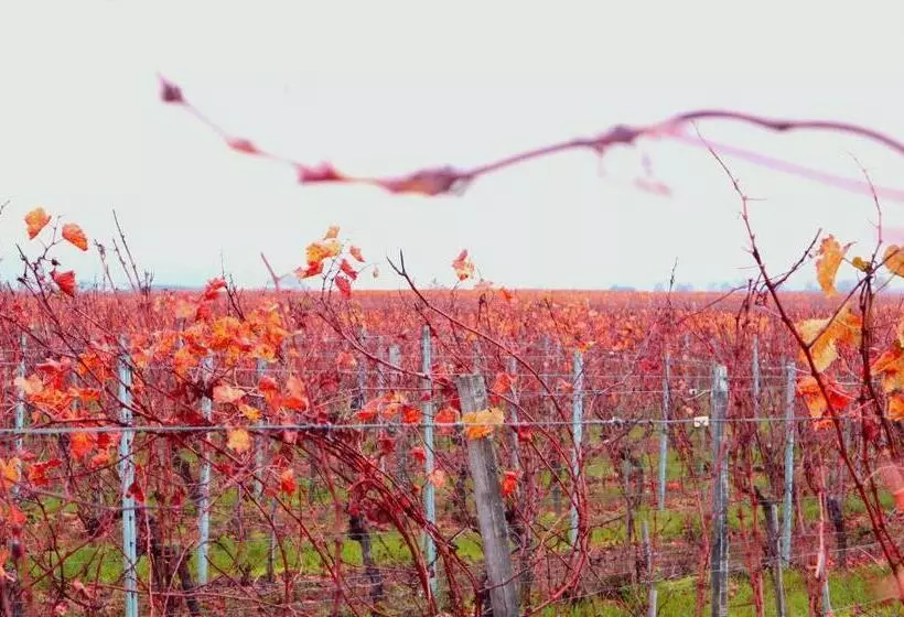 ホテル Rheinblick Hattenheim Boutique Art Gästehaus