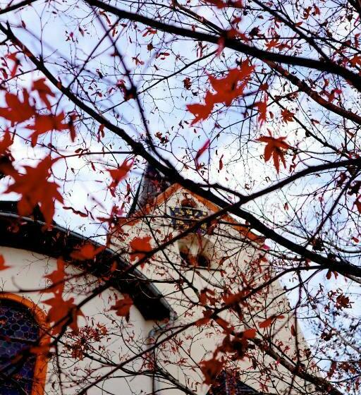 酒店 Rheinblick Hattenheim Boutique Art Gästehaus