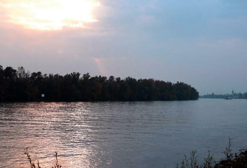 酒店 Rheinblick Hattenheim Boutique Art Gästehaus