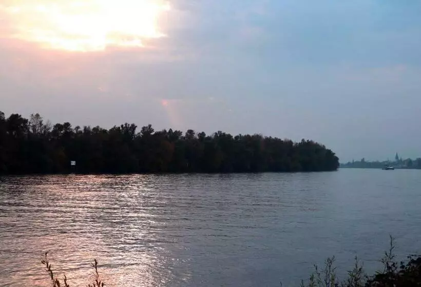 ホテル Rheinblick Hattenheim Boutique Art Gästehaus