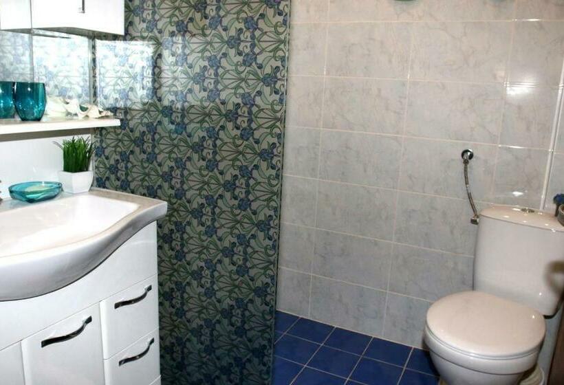 پانسیون Guest House Plavas