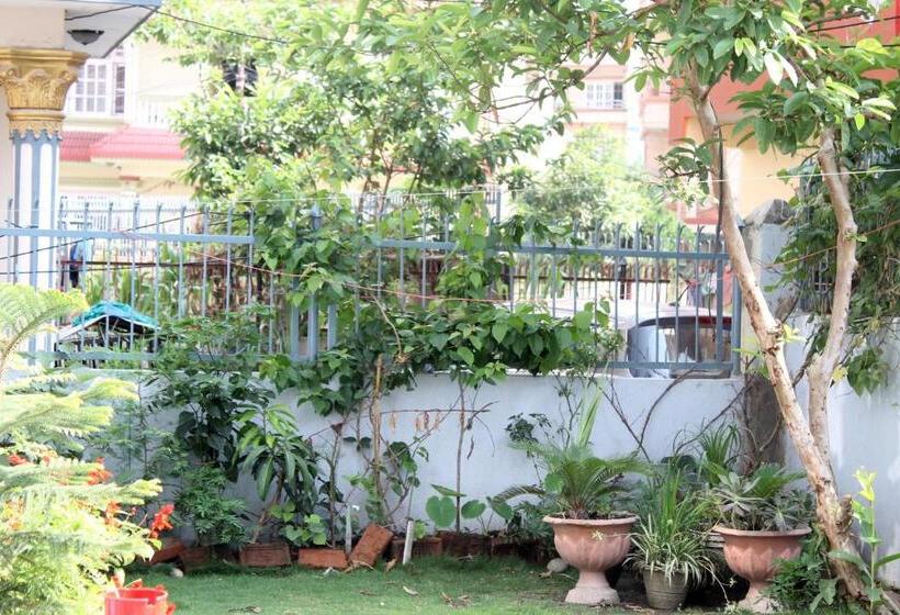 هاستل Delights Home