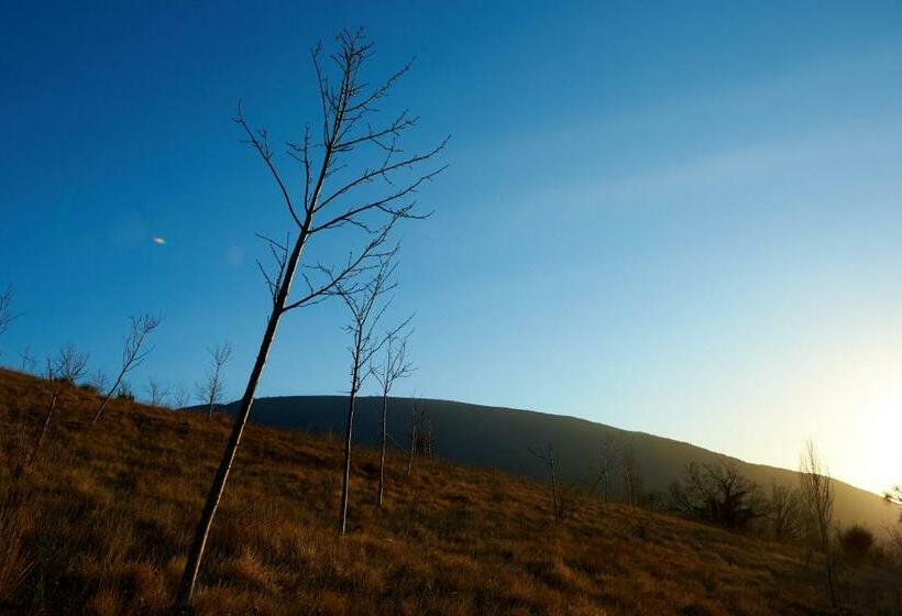ホテル Agriturismo Basaletto