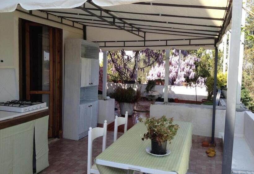 בית מלון כפרי B&b Apricot