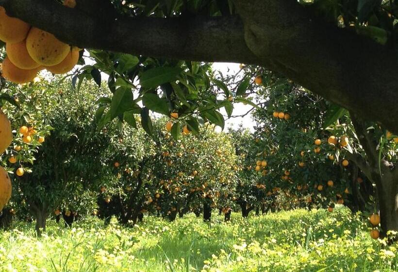 בית מלון כפרי B&b Apricot