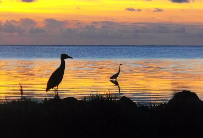 ホテル Costa De Cocos