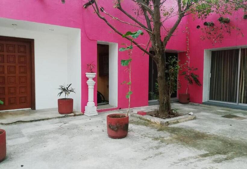 بنسيون Casa Isabella