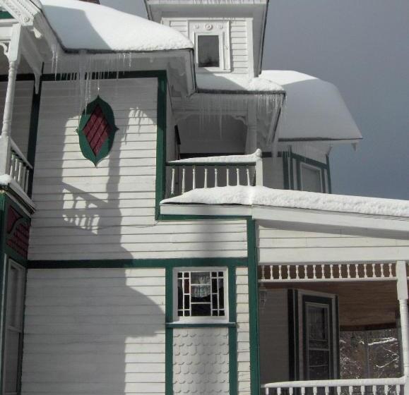 בית מלון כפרי Antique Rose Inn Windham