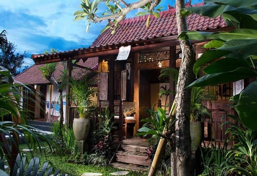 הוסטל Elementsbnb