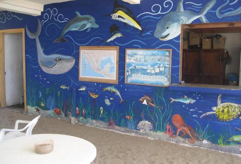 הוסטל Posada Brisa Marina