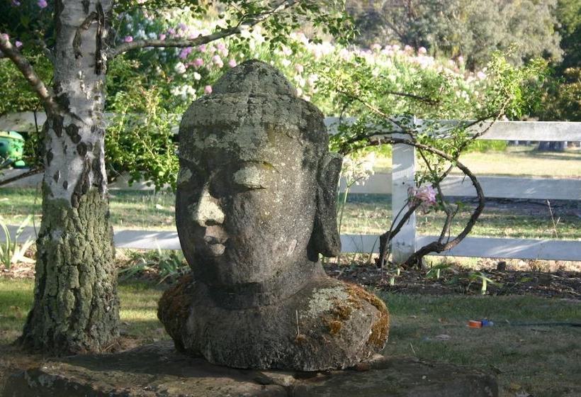 ベッドアンドブレックファースト Riverhouse At Howqua Dale