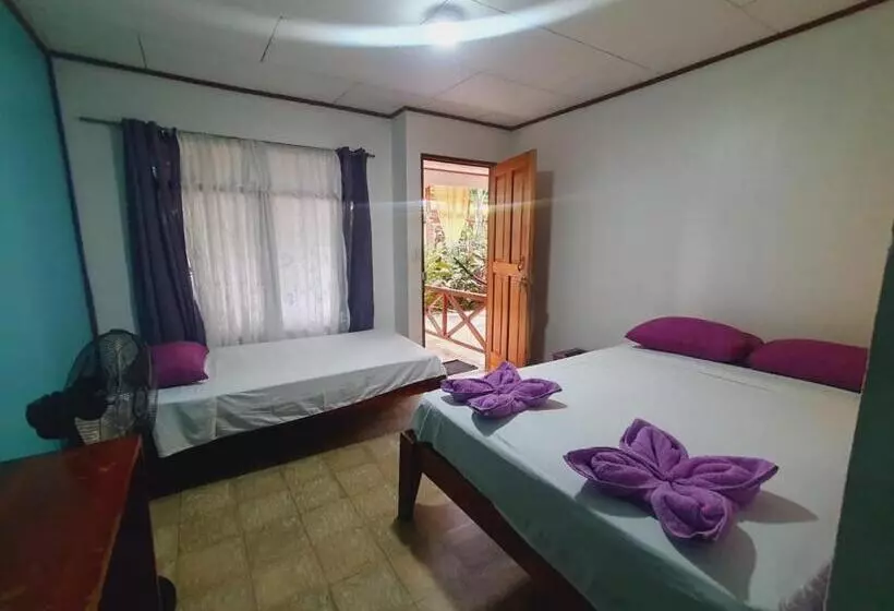 هتل Cabinas Palmer Makanda