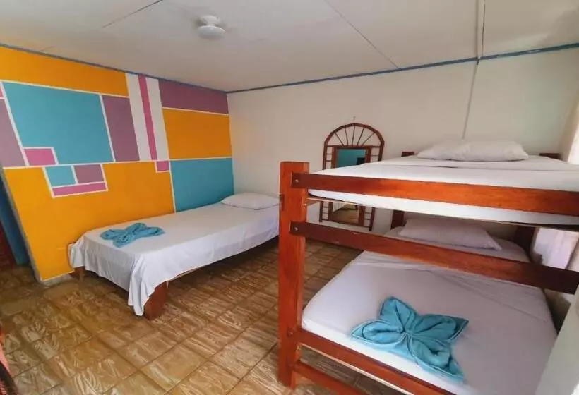 هتل Cabinas Palmer Makanda