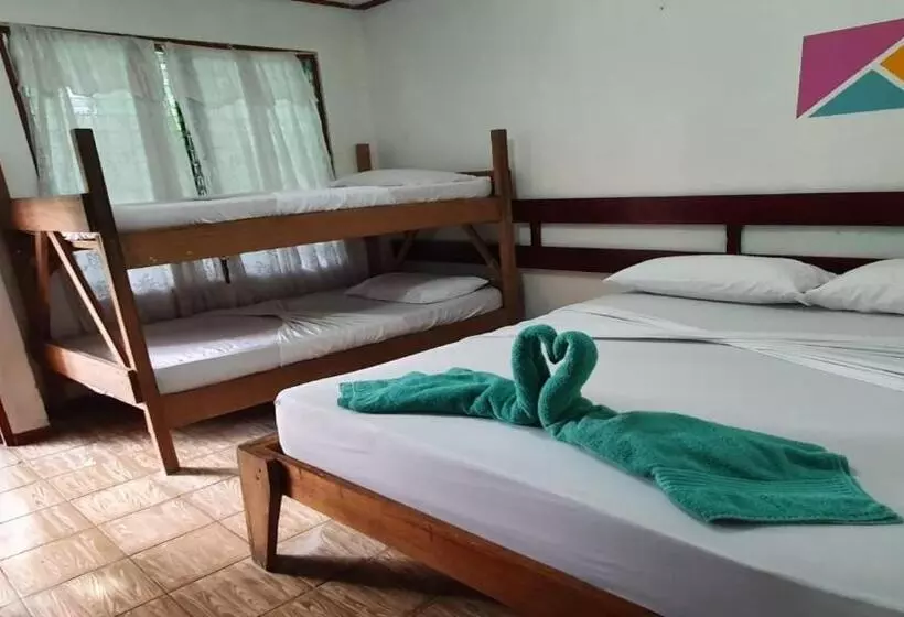 هتل Cabinas Palmer Makanda