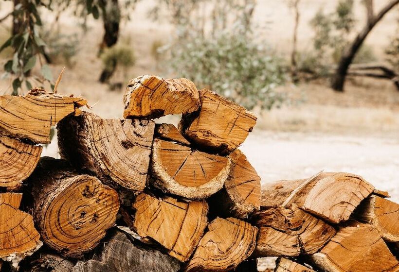 ホテル Cosy Tents  Daylesford