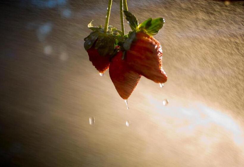 Hotel Shivsagar Resort & Spa