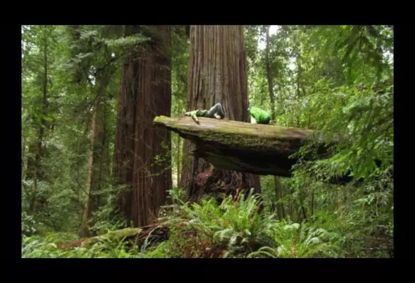 Hotelli Trinidad Bay Bed And Breakfast