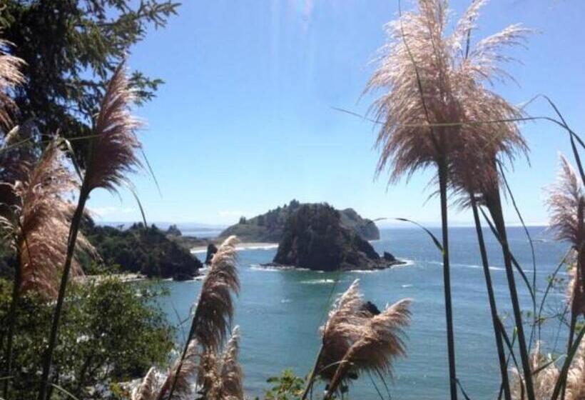 בית מלון כפרי Trinidad Bay Bed And Breakfast