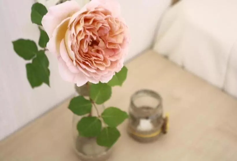 Hotelli Alba Family Club