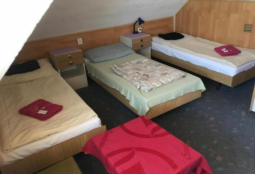 בית מלון כפרי Chata