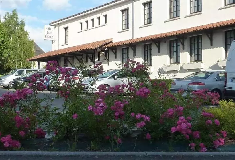 ホテル Hôtel Des Biches