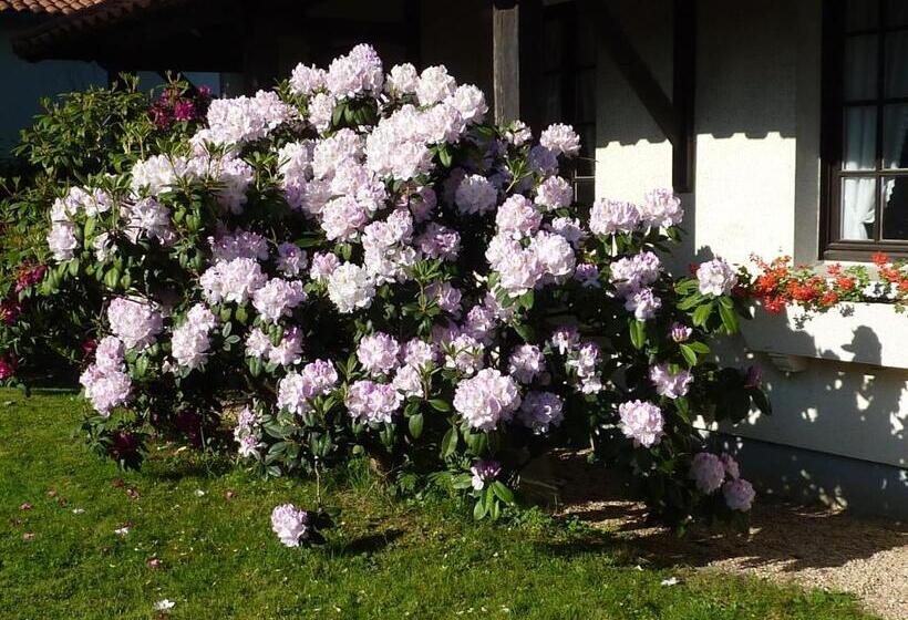 فندق Hôtel Des Biches