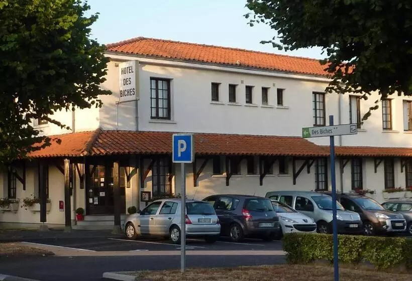 ホテル Hôtel Des Biches