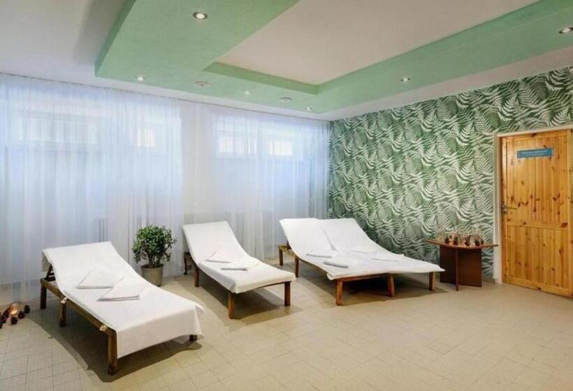 בית מלון כפרי Ski